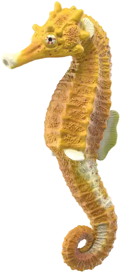 Schleich Merieläimet Löytösetti - 4