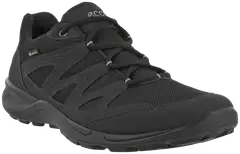 Ecco miesten ulkoilujalkine Terracruise LT GTX - Black/black - 1