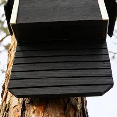 WildYard Big Bat Barn Junior lepakkopönttö, 2 kammiota, setripuu, musta - 5
