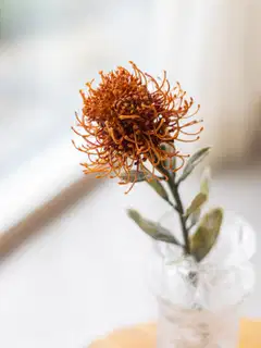 Tekokukka Bloom Deoc Protea - 2