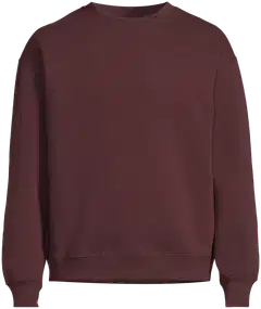 House miesten collegepusero 195HBNOS22 - Burgundy - 2