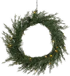 Star Trading kranssi Thuja - 1