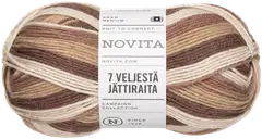 Novita lanka 7 Veljestä Jättiraita 150g mokka 8431 - 1