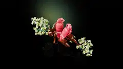LEGO® Ideas 21365 Rakastuneet linnut - 5