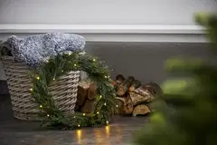 Star Trading kranssi Thuja - 3