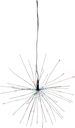Star Trading valokoriste Firework - 1