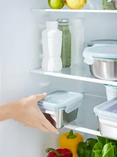 Rotho ruoansäilytyspurkki 0,7 l teräs - 2