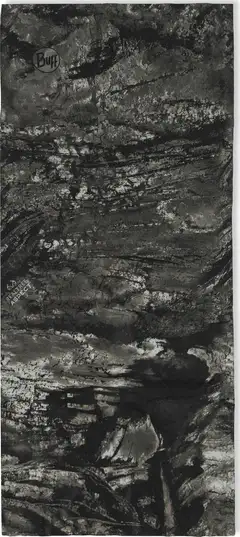 Buff tuubihuivi Coolnet UV Real Tree Aspect Graphite - 2