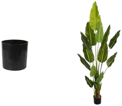 Lykke tekokasvi bird of paradise 200cm - 2