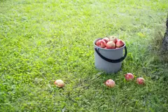 Orthex sanko 10 L - 5