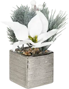 Tekokasvi Jouluasetelma ruukussa, erilaisia - 2