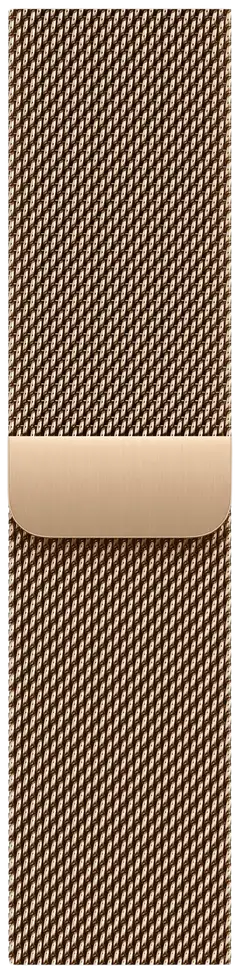 Apple Watch Series 10 GPS + Cellular 42mm kultainen titaanikotelo,  kultainen Milanese Loop ranneke - MX083QN/A - 3
