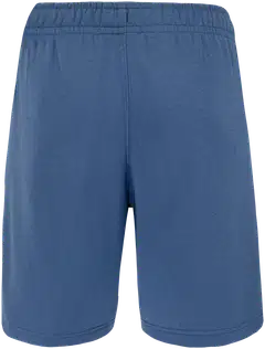 Cheetah miesten collegeshortsit CMS3707 - VINTAGE INDIGO - 3