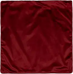 House sisustustyynynpäällinen Velvet 50 x 50 cm viini - 1