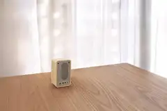 Sangean WR-9 Bluetooth pöytäradio, vaalea tammi - 11