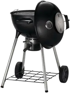 Napoleon NK18K-LEG-3 hiiligrilli - 3