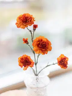 Tekokukka Bloom Deco Neilikka Oksa - 2