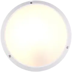 Trio ulkovalaisin Ambato 27 valkoinen IP65 iskunkestävä IK10 seinä- ja kattoasennus - 2