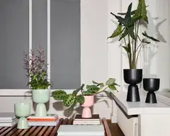 Iittala ruukku Nappula 230x155 mm matta musta - 4