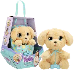 Baby Paws Labradori - 1