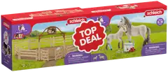 Schleich Horse Club 2 in 1 pakkaus - 1