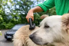 Kärcher matalapainepesuri OC 4 Plus Pet - 5