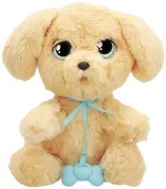 Baby Paws Labradori - 6