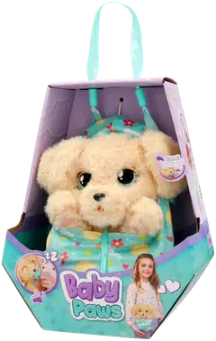 Baby Paws Labradori - 3