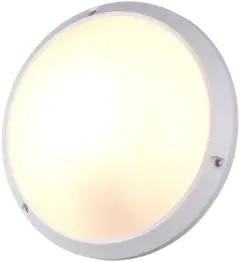 Trio ulkovalaisin Ambato 27 valkoinen IP65 iskunkestävä IK10 seinä- ja kattoasennus - 5