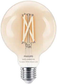 Philips Smart Lighting LED-filamenttilamppu 7W G95 E27 2700-6500K 806lm kirkas - 1
