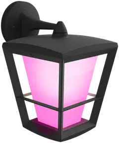 Philips Hue Econic -seinävalaisin ulkokäyttöön 15W 2000-6500K 1140LM säädettävä - 1