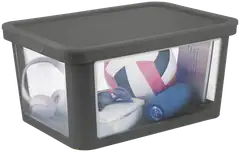 Rotho säilytyslaatikko + kansi Albris 45 l - 2