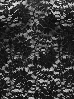 Only Carmakoma naisten pitsipaita Carnikka - Black - 3