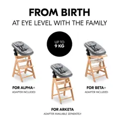 Hauck sitteri Highchair Bouncer tummanharmaa - 15