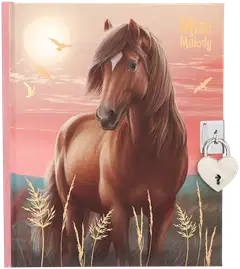 Miss Melody päiväkirja - 1