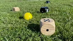 Bex Sport peli 5Star Family - 3