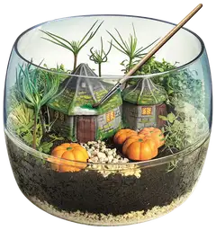 Clementoni Hagrid'S Terrarium - 2