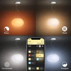 Philips Hue Flourish -riippuvalaisin 5W 2000-6500K 470LM valkoinen - 8