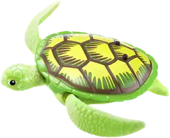 Robo Alive Robotic-Swimming Turtle 2-pack - 5