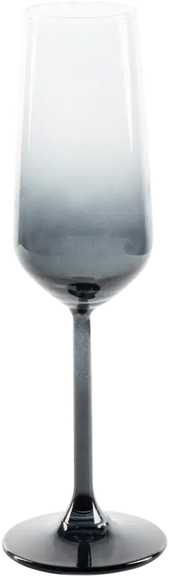 Rakle kuohuviinilasi Iconic 19,5 cl 4 kpl - 2