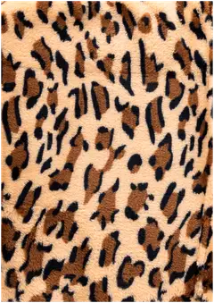 House flanellihuopa Leopard 130x170 cm - 2