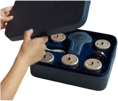 Beautifly Imukuppihieroja Celestine - 7