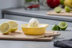 Fackelmann sitruspuristin - 8