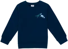 Ciraf lasten collegepaita dinot 25PC260217 - Titan 19-4128 Tcx - 1