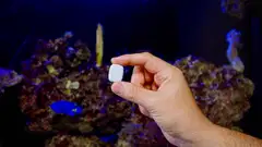 The Pill by Shelly - WiFi-monikäyttömoduuli, 5 V - 4
