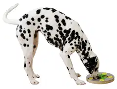 Kerbl koiran aktivointilelu pyöreä Ø25cm - 3