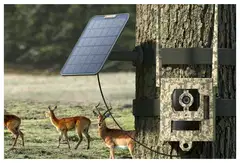 Reolink Talon Pro Camovue 4K 4G akkukamera Ulkona Camo - 2