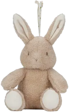 Yövalo musiikilla Newborn Baby Bunny - 2