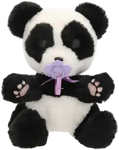 Baby Paws Panda - 4