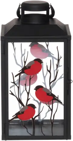 4Living Lyhty punatulkku 33 cm display - 3